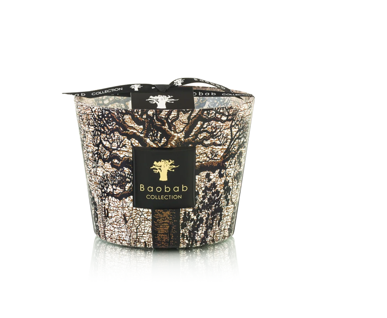 Image of Candle Trees Morondo